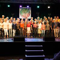 Jung und alt singt gemeinsam: Der Chor High Fossility aus Berlin beim COSOA Festival 2017, Foto: Grazyna Fait.