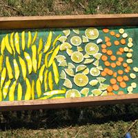 Sonnentrockner für Obst und Gemüse