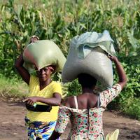Zwei Frauen transportieren je einen Sack Reis und Bohnen.